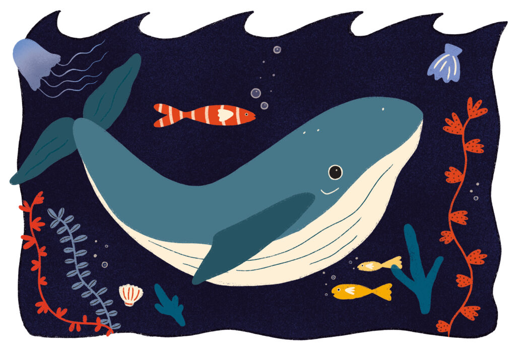 Colorful illustration of a whale made by Studio Liona